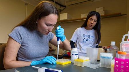 Students working in a lab